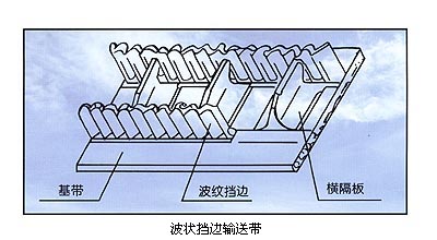 1611628914588758.jpg 6.jpg